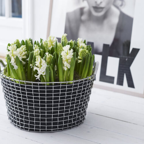 Mand Korbo Classic 35