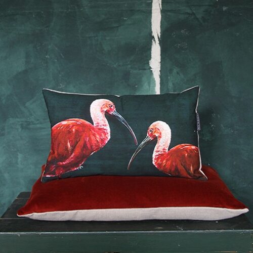 Sierkussen By Noon Ibis