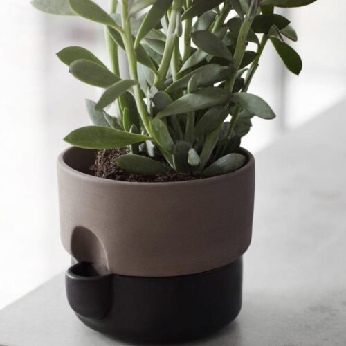 Plantenpot Northern Oasis