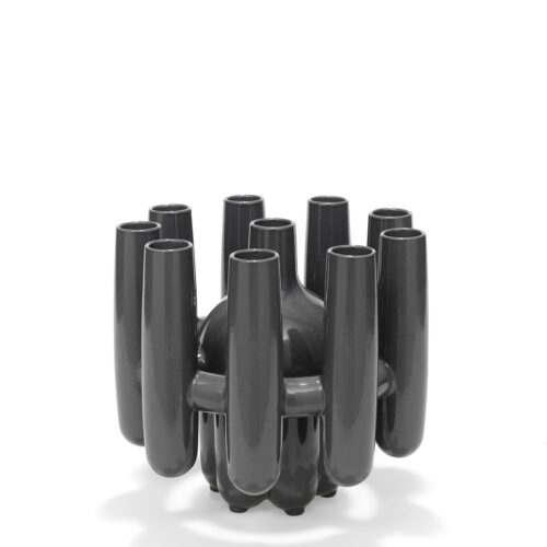 Vaas Roderick Vos  Colt