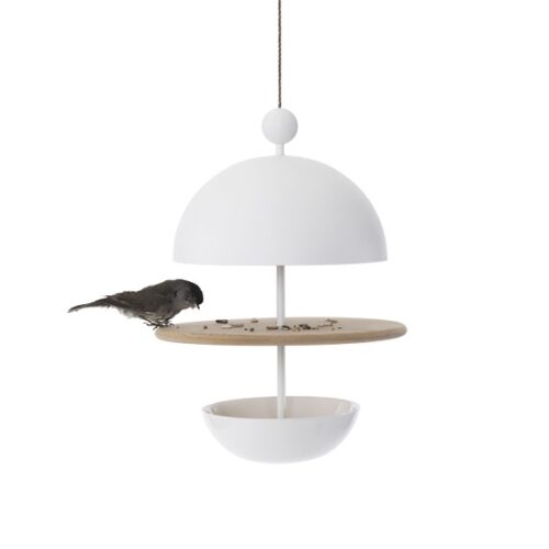 Vogelvoer-hanger Frederik Roijé Dish of Desire Two Course Menu