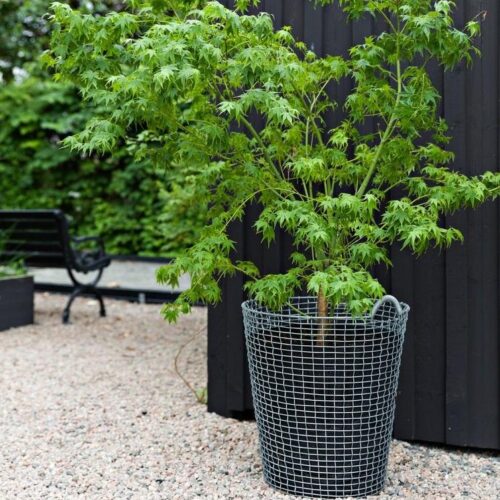 Mand Korbo Classic 80