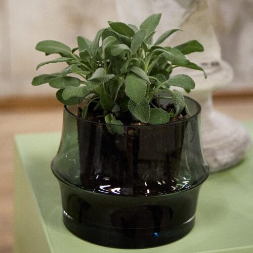 Vaas Holmegaard ARC Dark Green