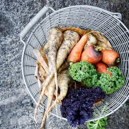 Mand Korbo Bucket 24