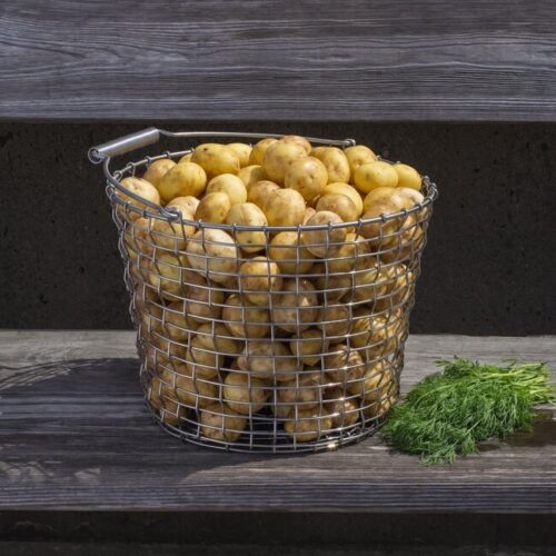 Mand Korbo Bucket 16