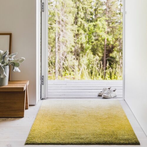 Deurmat Heymat Dis Moss