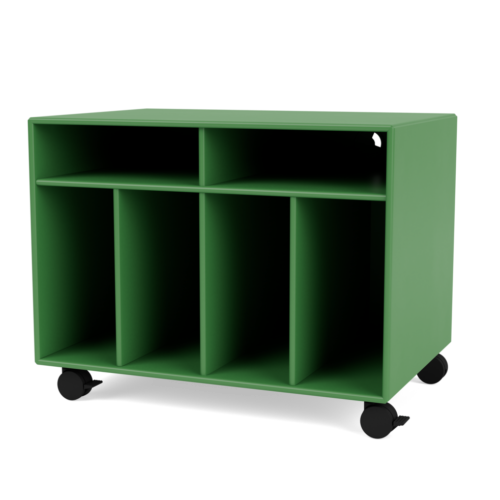 Vinyl Storage Montana Selection Spin I - 152 Parsley