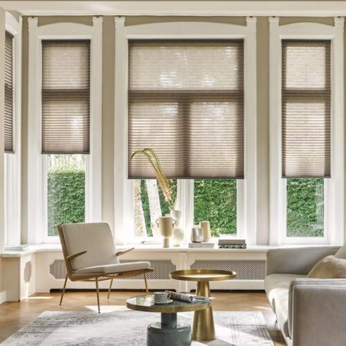 Luxaflex Plissé Shades