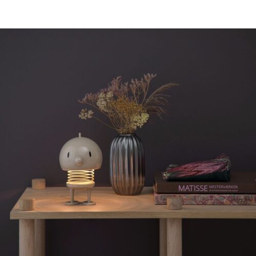 Oplaadbare Lamp Hoptimist L