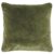 Moss