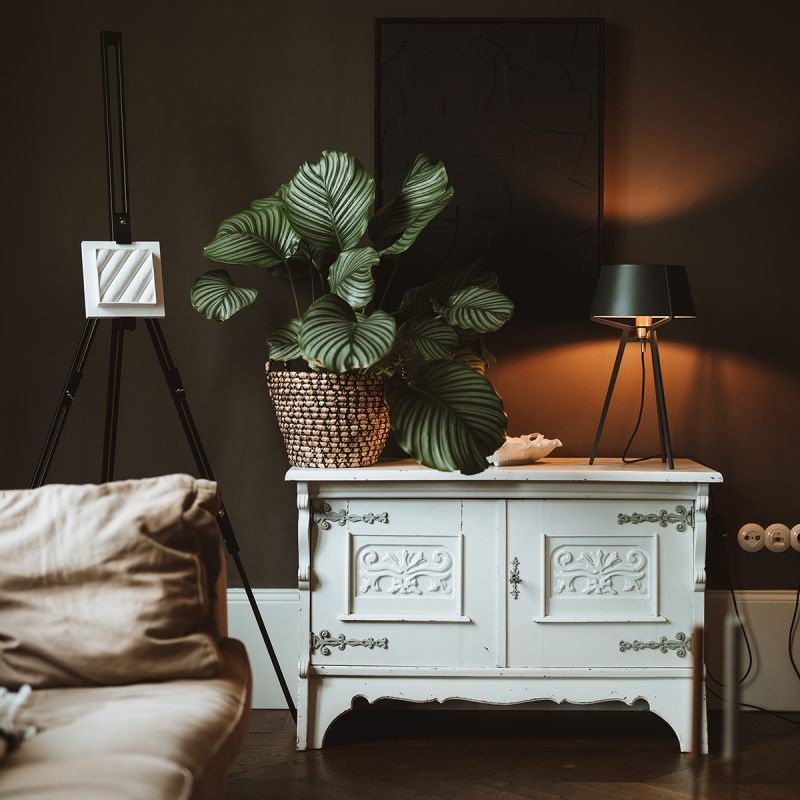Staande lamp Tonone Bella Smokey Black showroommodel - Afbeelding 2