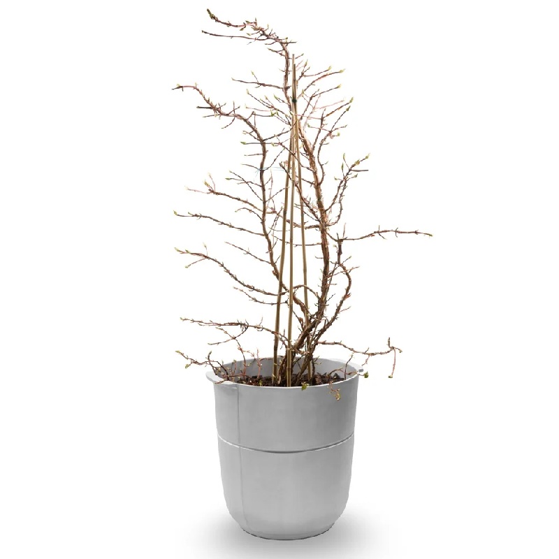Plantenbak Linea no 1 Korbo